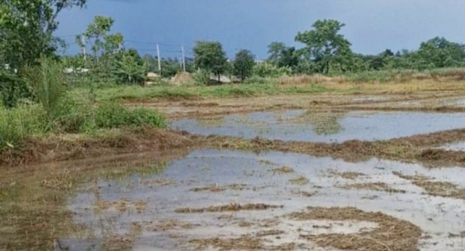 出售 土地 在 Phan, Chiang Rai