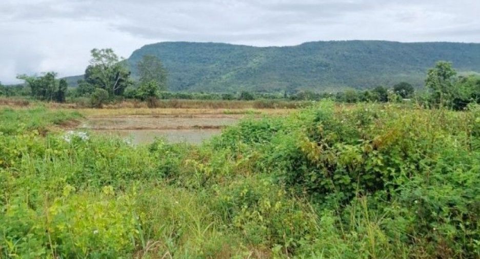 出售 土地 在 Phan, Chiang Rai