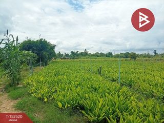 Terreno en venta en Kamphaeng Saen, Nakhon Pathom