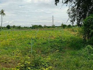 Terreno en venta en Kamphaeng Saen, Nakhon Pathom