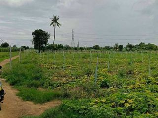 Terreno en venta en Kamphaeng Saen, Nakhon Pathom