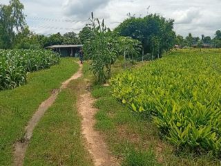 Terreno en venta en Kamphaeng Saen, Nakhon Pathom