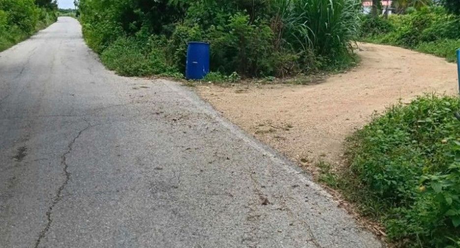 Terreno en venta en Kamphaeng Saen, Nakhon Pathom