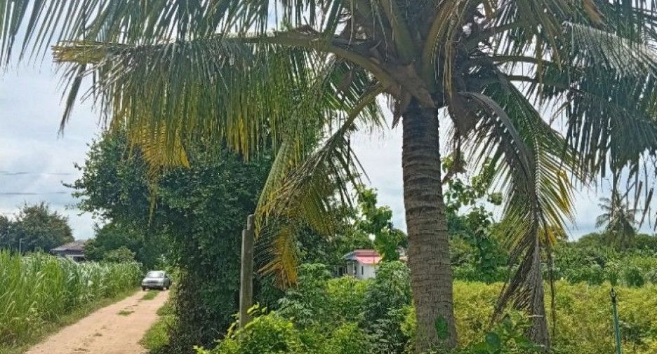 Terreno en venta en Kamphaeng Saen, Nakhon Pathom