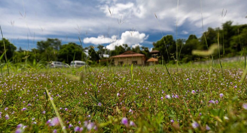 Haus zum Kauf mit 2 Zimmer in Warin Chamrap, Ubon Ratchathani