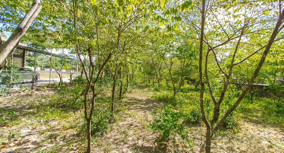 Haus zum Kauf mit 2 Zimmer in Warin Chamrap, Ubon Ratchathani