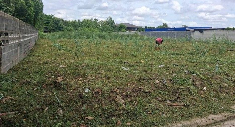 Аренда Участок в Bang Bua Thong, Нонтабури