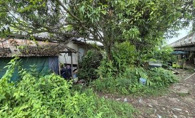 For sale land in Mueang Samut Songkhram, Samut Songkhram