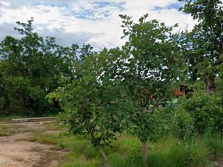 Terreno en venta en Ban Thi, Lamphun