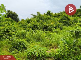 À vendre terrain à Klaeng, Rayong