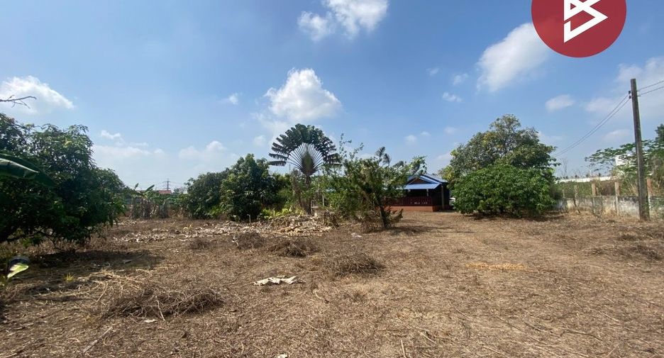 For sale land in Nong Yai, Chonburi