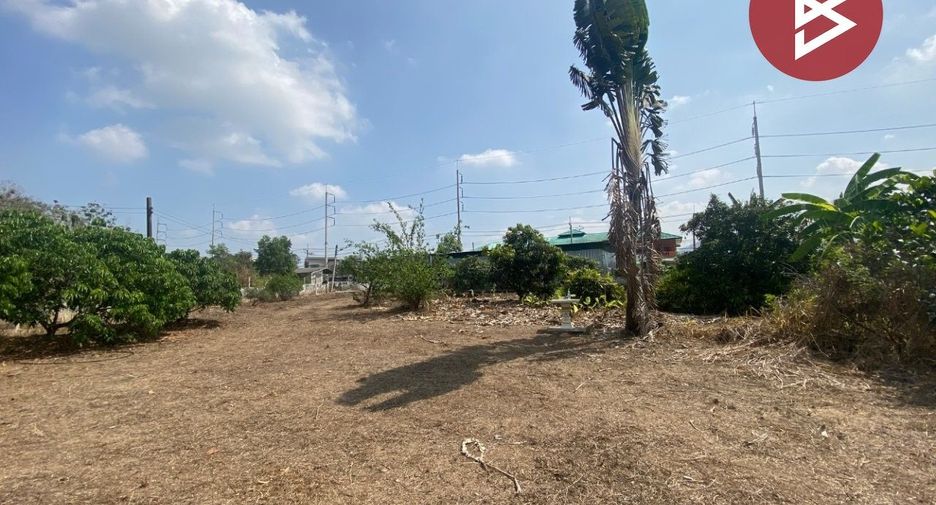 For sale land in Nong Yai, Chonburi