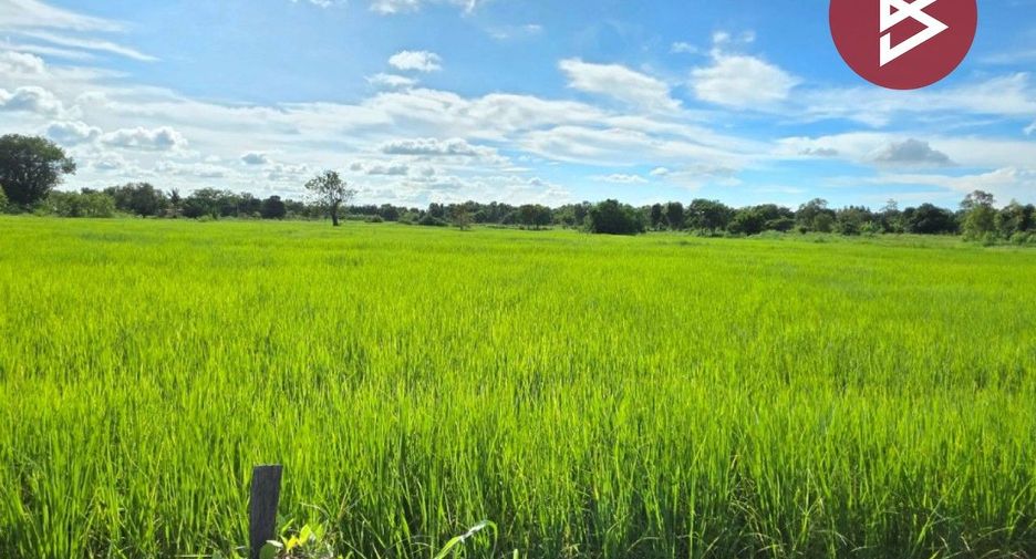 出售 土地 在 Borabue, Maha Sarakham