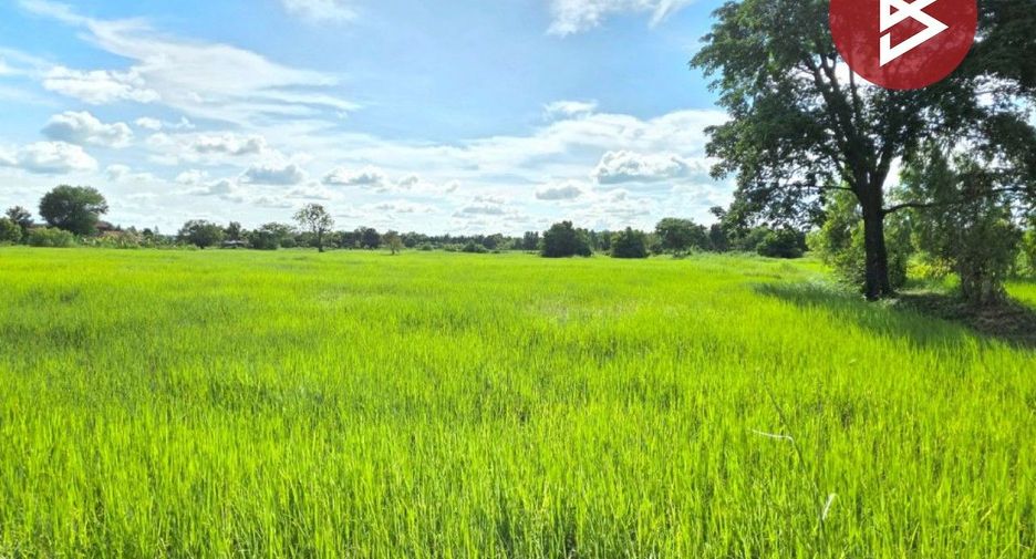 出售 土地 在 Borabue, Maha Sarakham