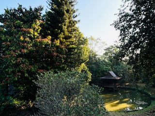 For sale 5 bedrooms house in Mae Rim, Chiang Mai