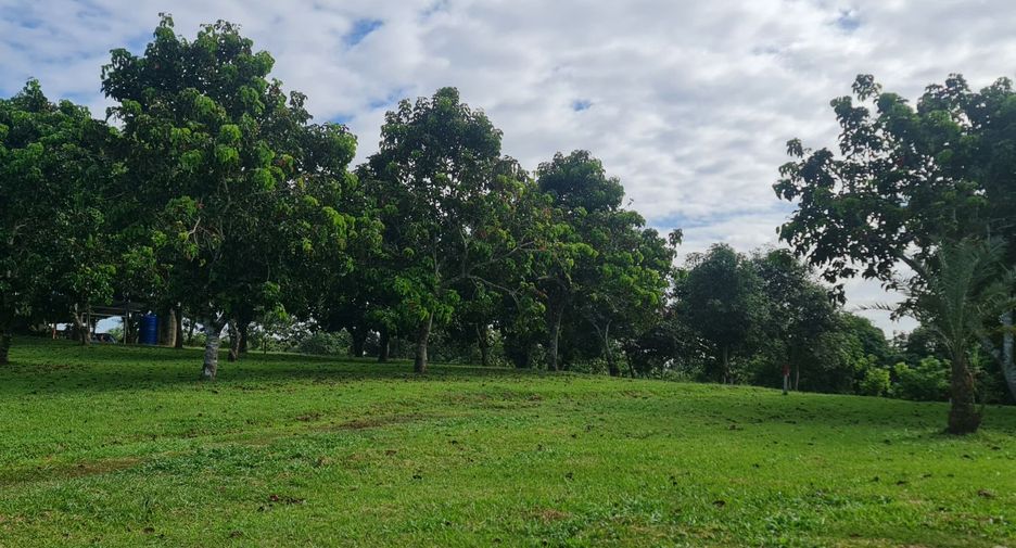Villa en venta de 3 habitaciones en Mueang Chiang Rai, Chiang Rai