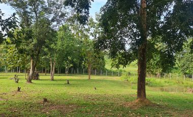 For sale 3 bedrooms villa in Mueang Chiang Rai, Chiang Rai