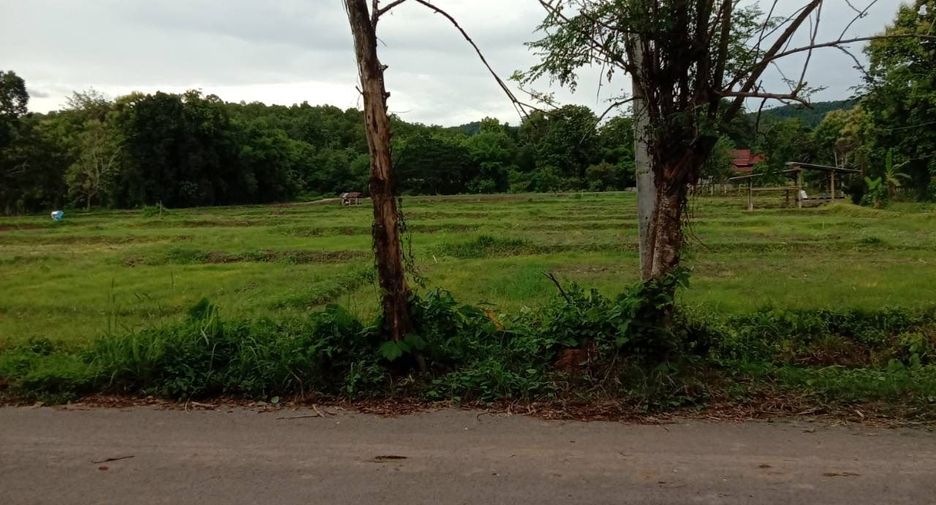 For rent 2 bedrooms villa in Muang Nan, Nan