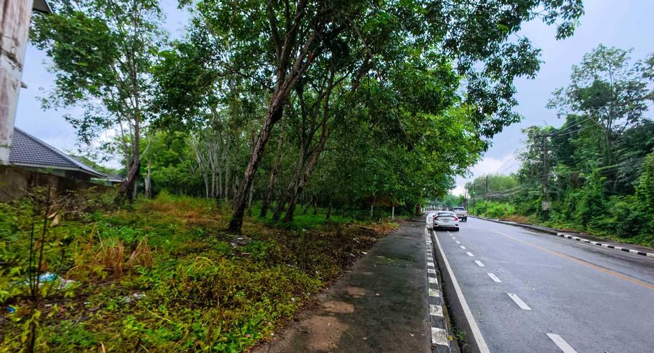 出售 土地 在 Klaeng, Rayong