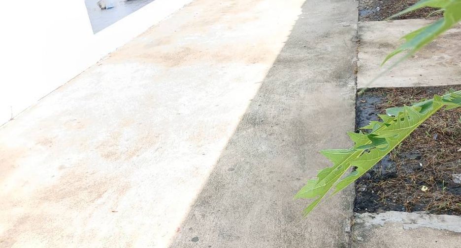 ให้เช่า 4 ห้องนอน บ้านเดี่ยว ใน ดอยสะเก็ด, เชียงใหม่