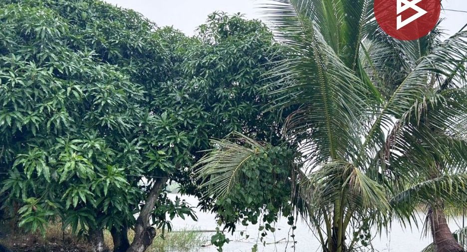 出售 土地 在 Bang Sao Thong, Samut Prakan