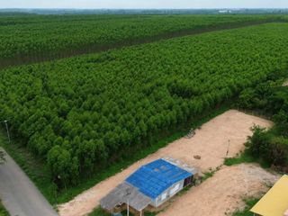 Terreno en venta en Ko Chan, Chonburi
