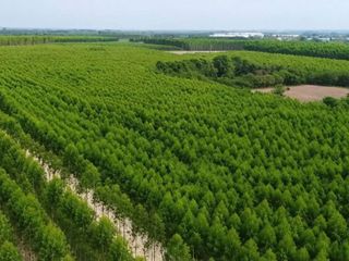 Terreno en venta en Ko Chan, Chonburi