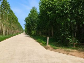 Terreno en venta en Ko Chan, Chonburi