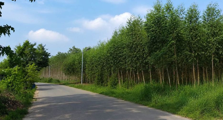 Terreno en venta en Ko Chan, Chonburi