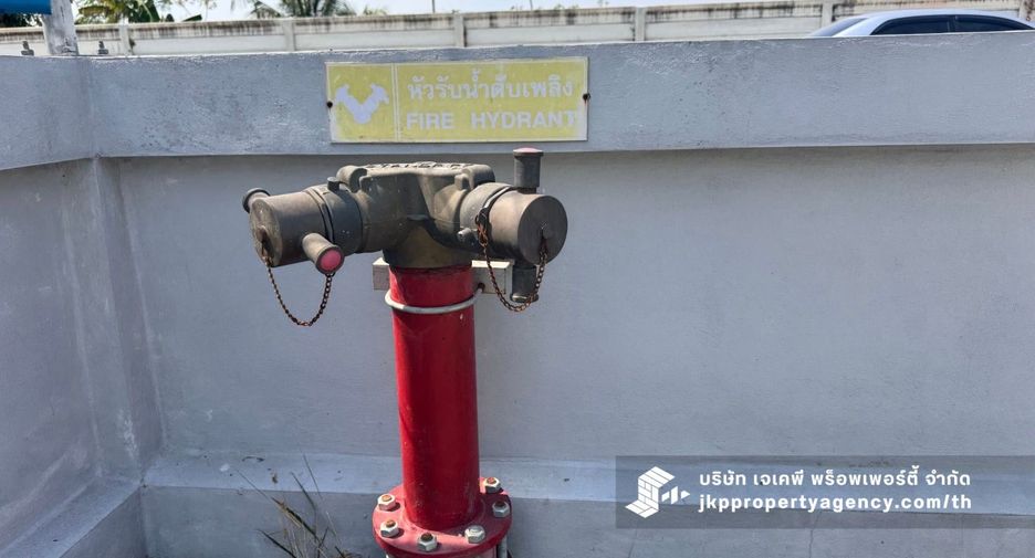 For rent warehouse in Nong Chok, Bangkok