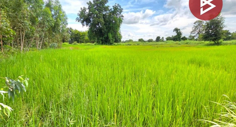 For sale land in Borabue, Maha Sarakham
