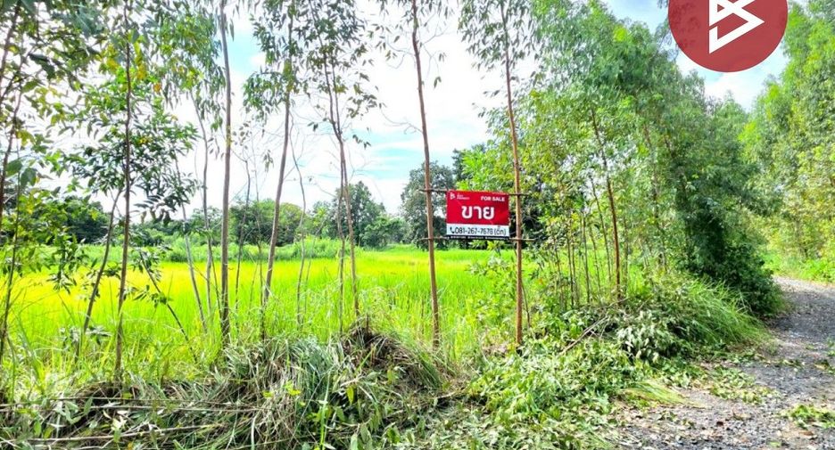 For sale land in Borabue, Maha Sarakham