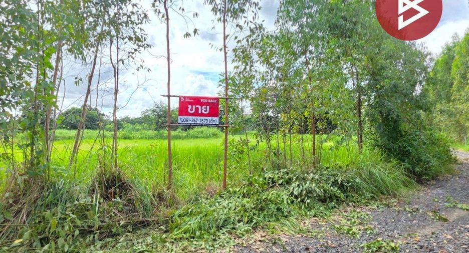 For sale land in Borabue, Maha Sarakham