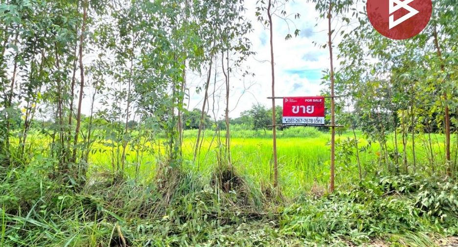 For sale land in Borabue, Maha Sarakham