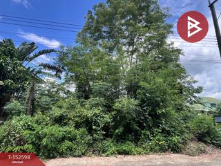 For sale land in Samoeng, Chiang Mai