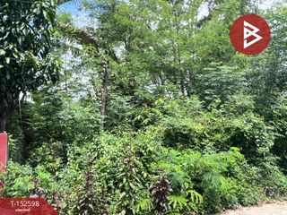 For sale land in Samoeng, Chiang Mai