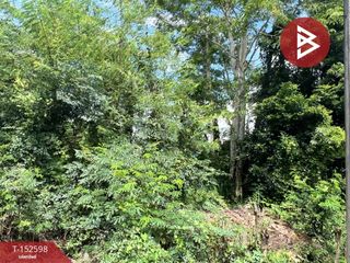 For sale land in Samoeng, Chiang Mai