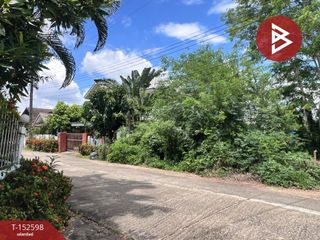 For sale land in Samoeng, Chiang Mai
