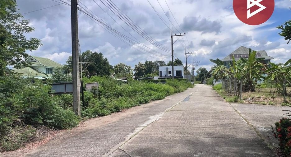 For sale land in Samoeng, Chiang Mai
