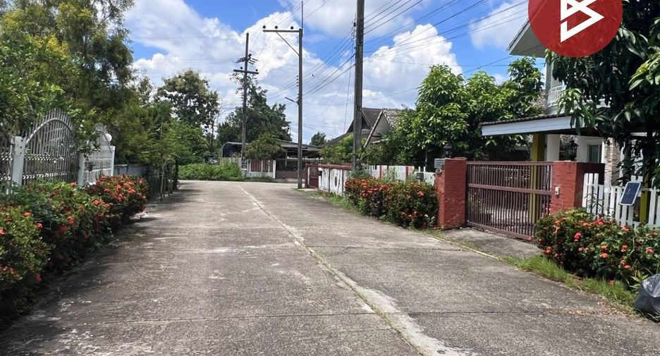 For sale land in Samoeng, Chiang Mai