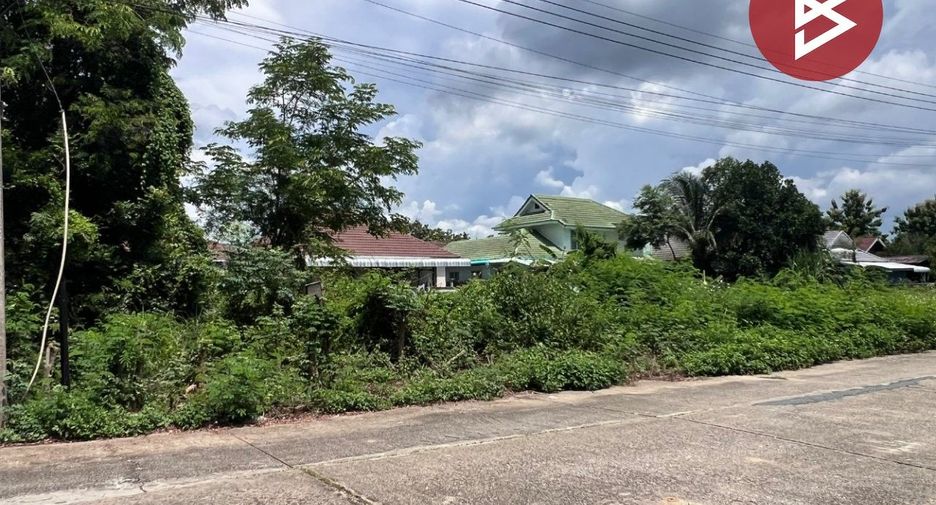 For sale land in Samoeng, Chiang Mai