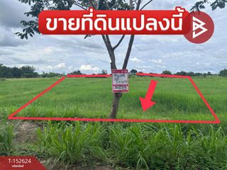 For sale land in Mueang Khon Kaen, Khon Kaen