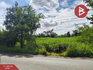 For sale land in Prakhon Chai, Buriram