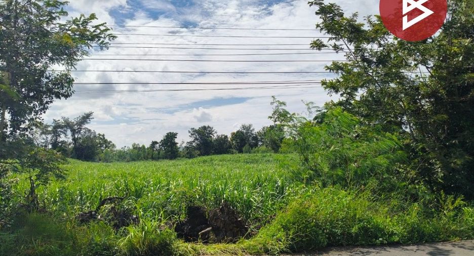 For sale land in Prakhon Chai, Buriram