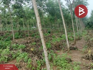For sale land in Khao Saming, Trat