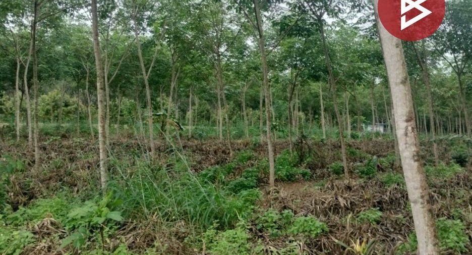 For sale land in Khao Saming, Trat