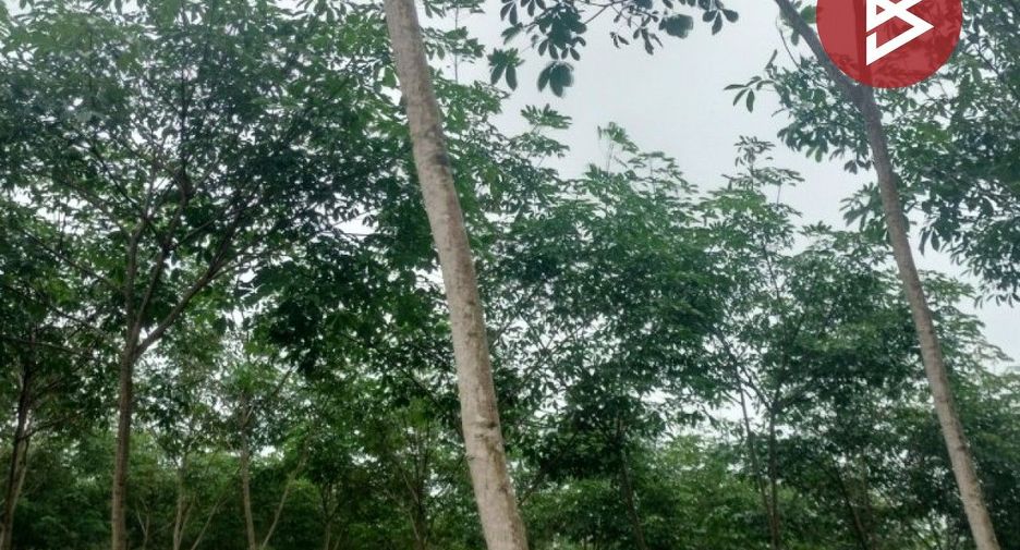 For sale land in Khao Saming, Trat