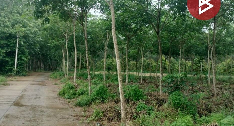 For sale land in Khao Saming, Trat