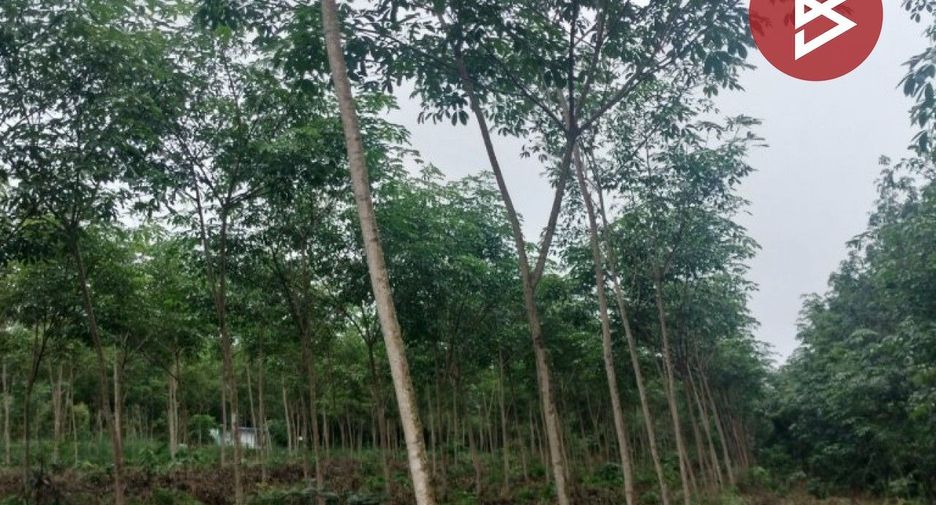 For sale land in Khao Saming, Trat