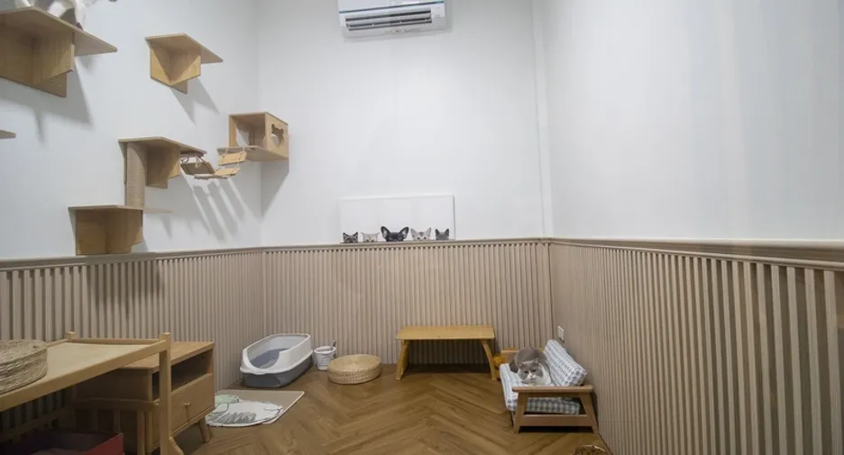 For sale 4 bedrooms villa in San Sai, Chiang Mai